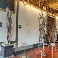 Gli alberi di Penone agli Uffizi