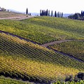 Chianti in autunno