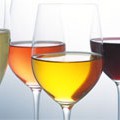 Non solo arte - Assaggi di vino e molto altro
