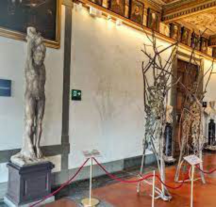 Gli alberi di Penone agli Uffizi