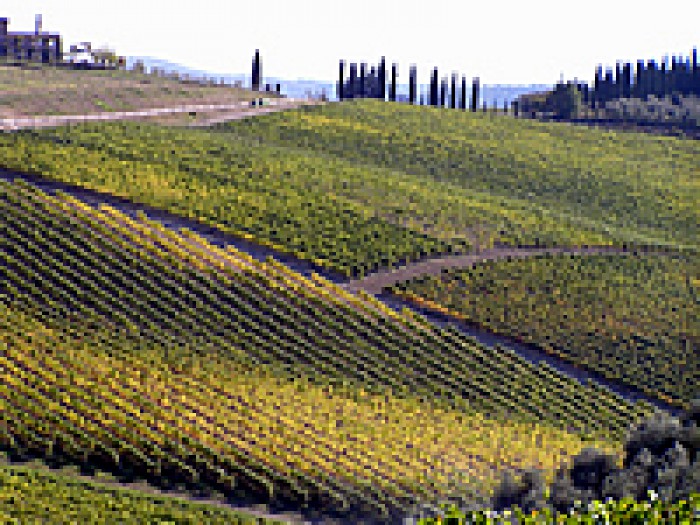Chianti in autunno