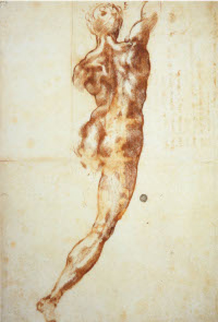 La scuola del mondo. Leonardo e Michelangelo a confronto