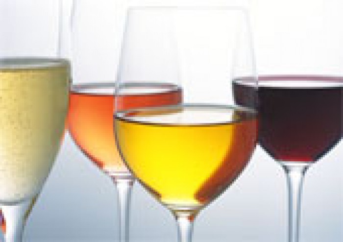 Non solo arte - Assaggi di vino e molto altro